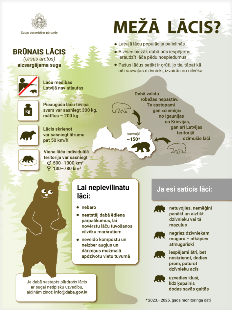 DAP infografika par lāčiem