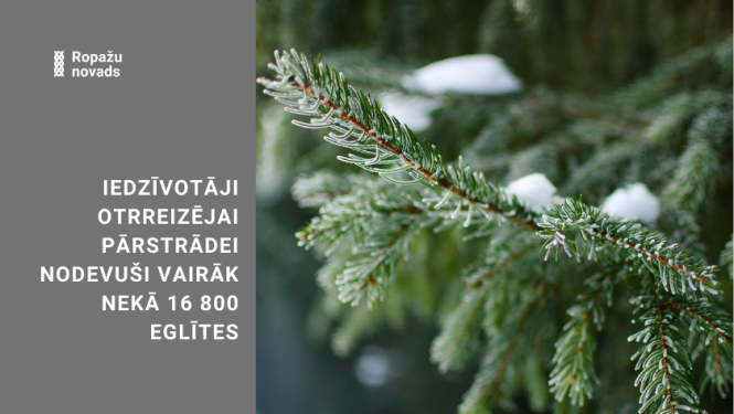 eglītes