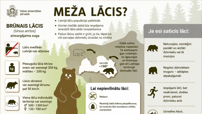 DAP informācija par lāčiem 