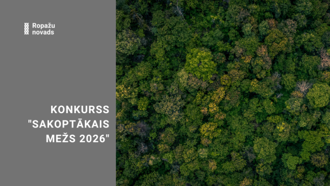 konkurss Sakoptākais mežs, 2026