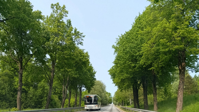 autobuss