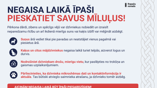 pieskatiet savus mīluļus, infografiks