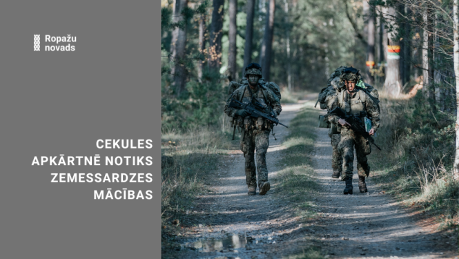 apmācības mežos