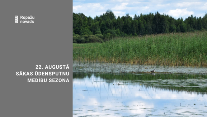 ūdensputnu medības