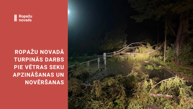 lūzuši koki