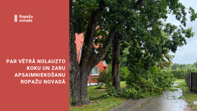 vētra un zari