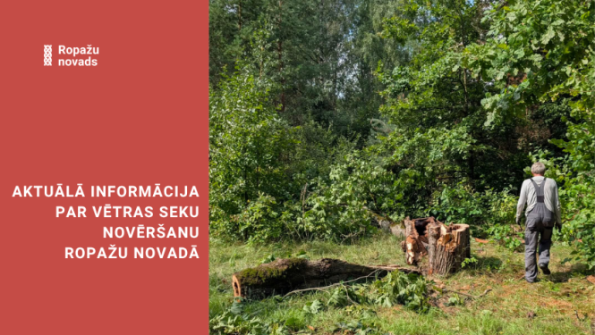 vētras likvidēšana