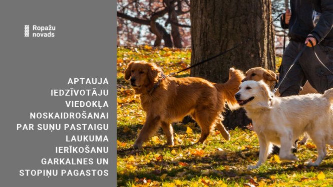 Aptauja par suņu laukumiem, attēlā suņi pavadās