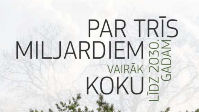 skuju koki