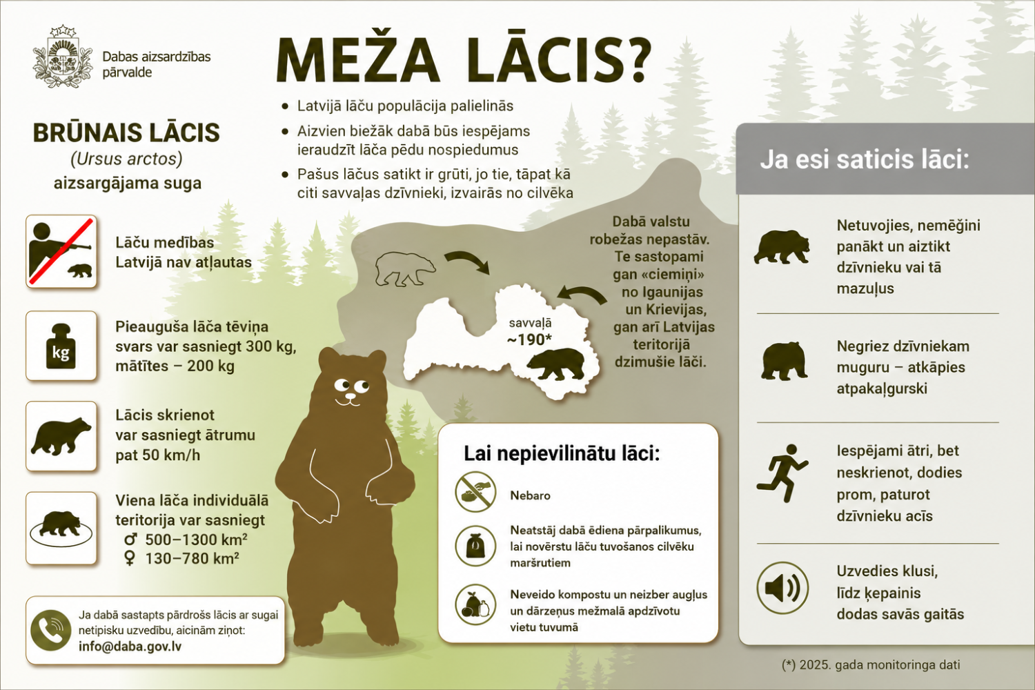 Lācis