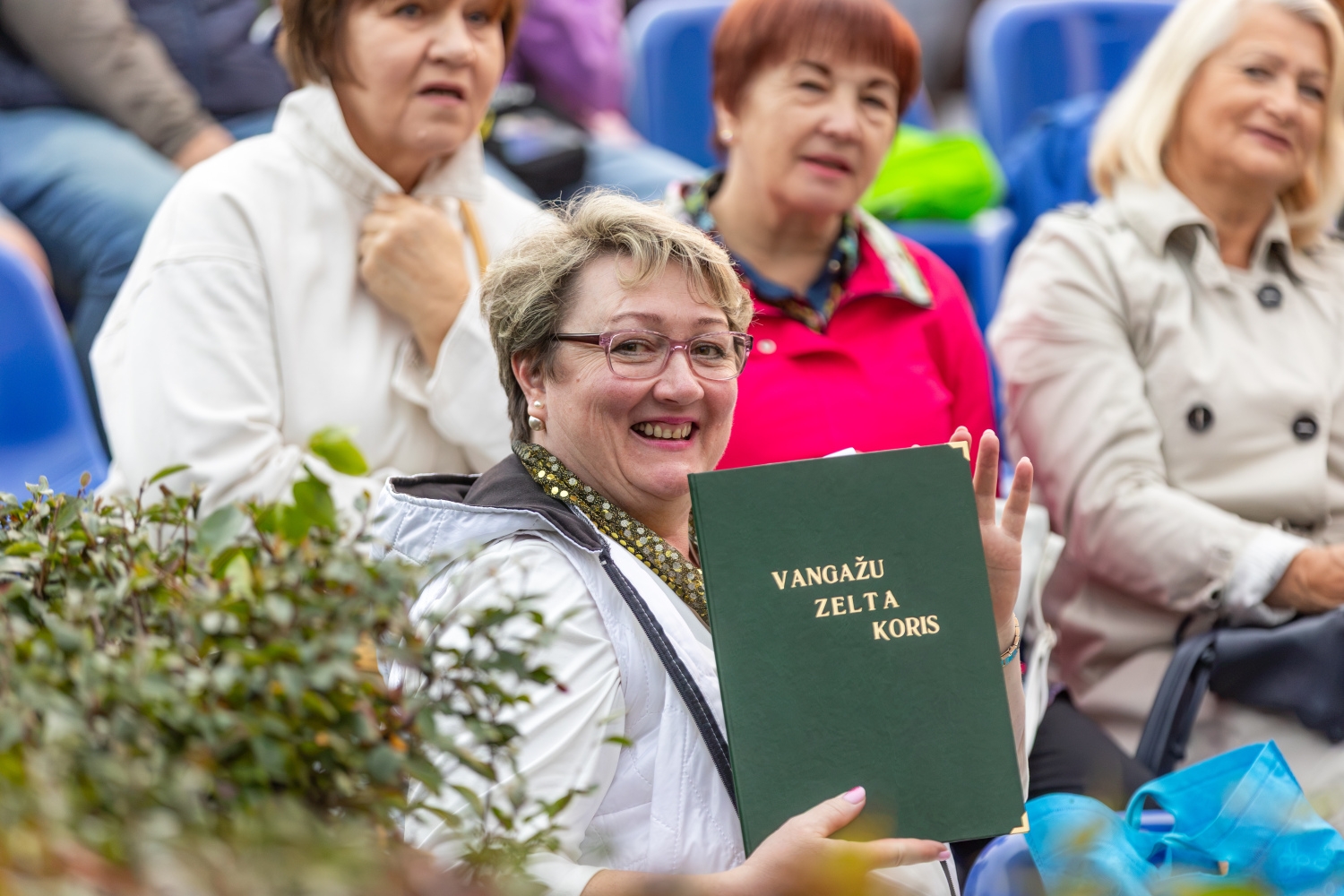 Vangažu pilsētas svētki, vakara daļa