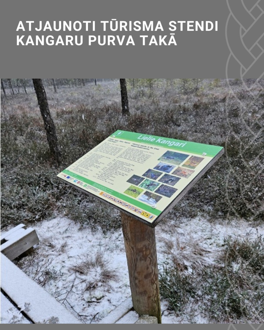 Paveiktais 2025