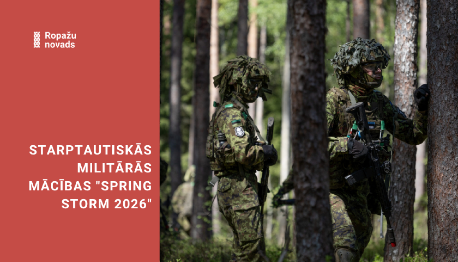 militārās mācības, bildē zemessargi mežā