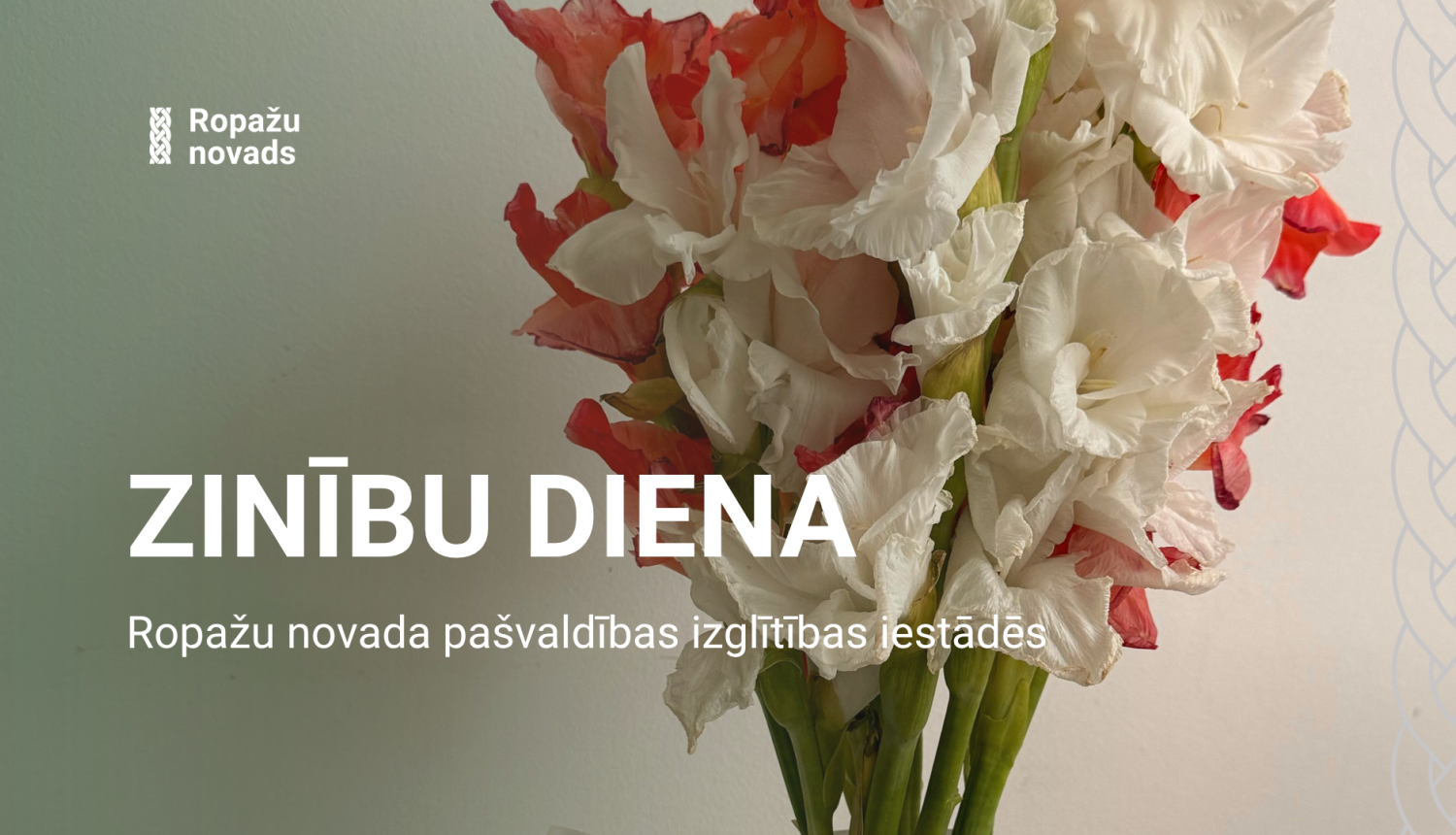 Zinību diena, gladiolas
