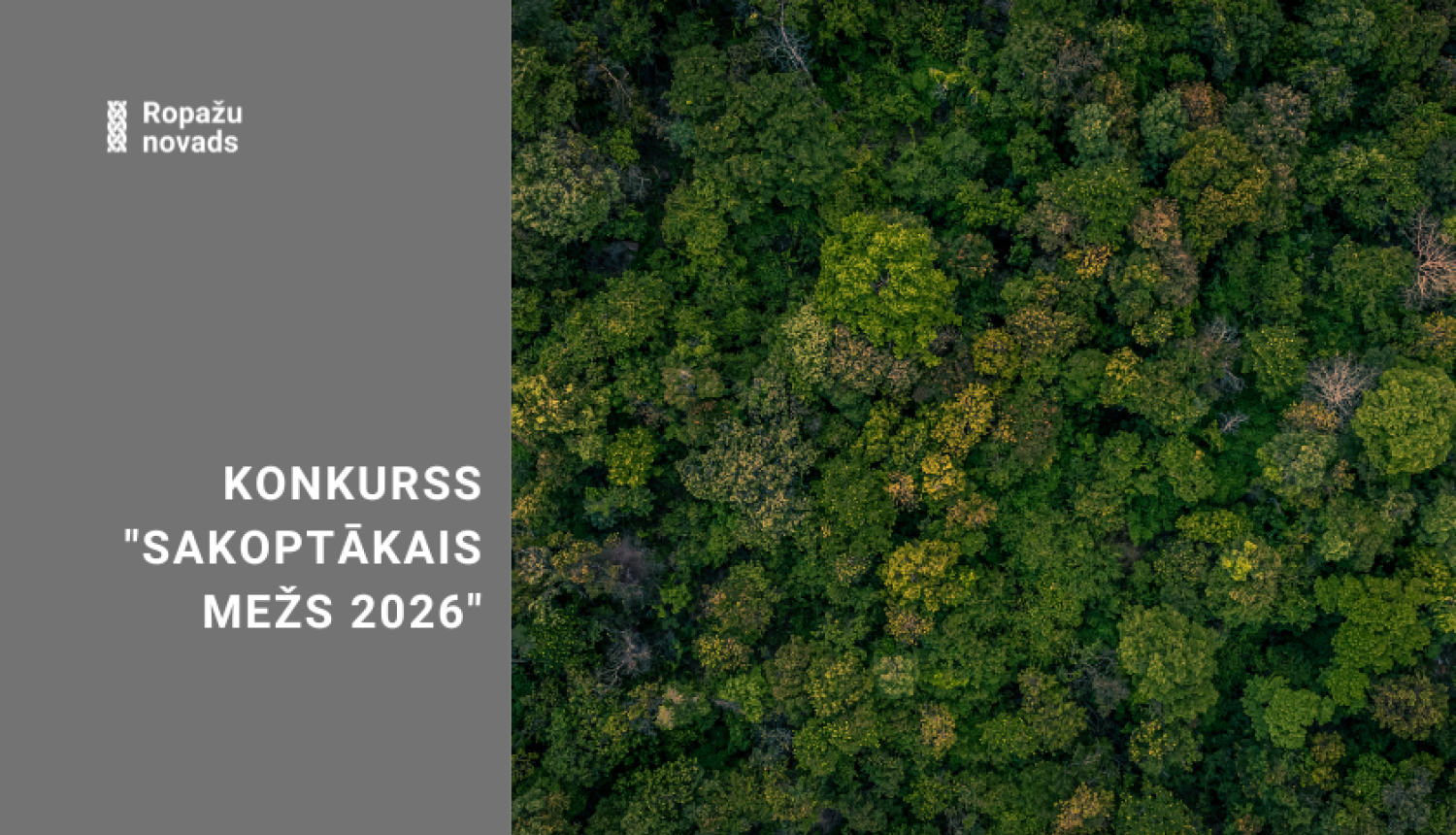 konkurss Sakoptākais mežs, 2026