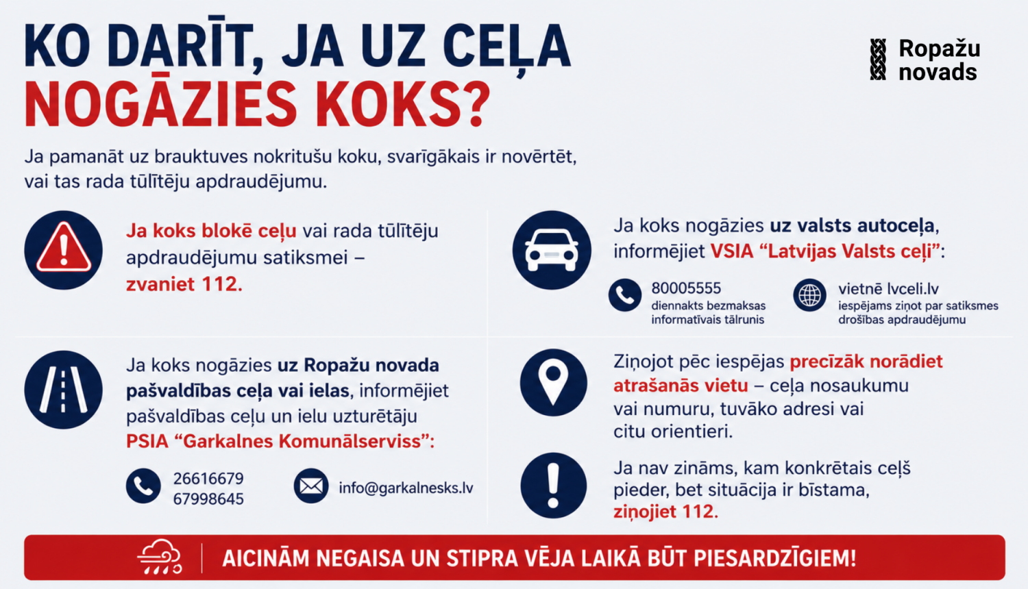 ko darīt, ja uz ceļa nogāzies koks, infografiks