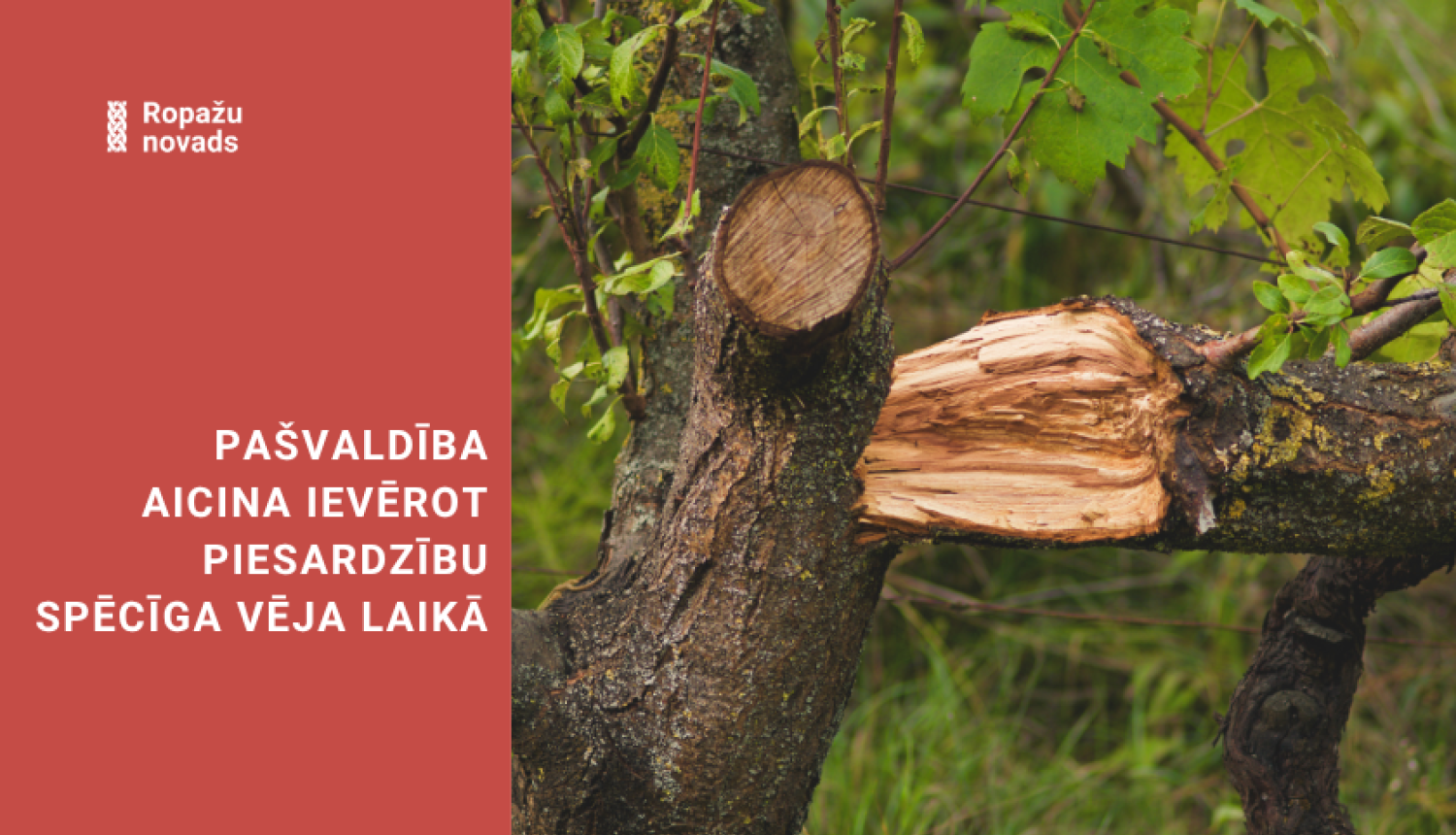 Pašvaldība aicina ievērot piesardzību spēcīgā vēja laikā; bildē lūzis koks