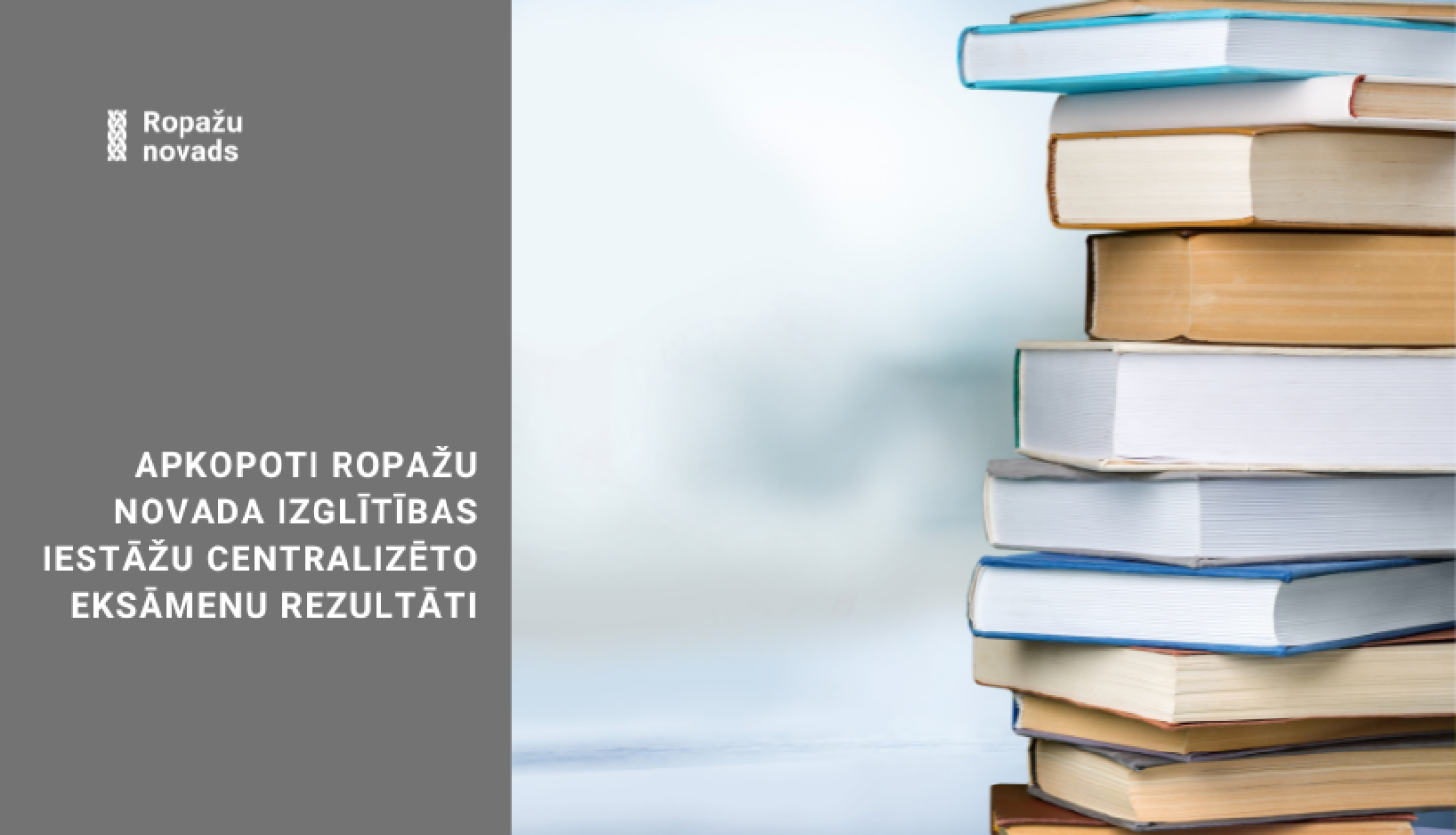 skola, grāmatas kaudzē