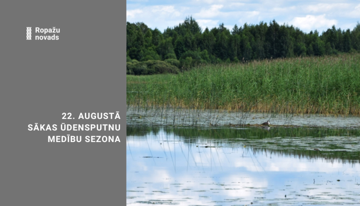 ūdensputnu medības