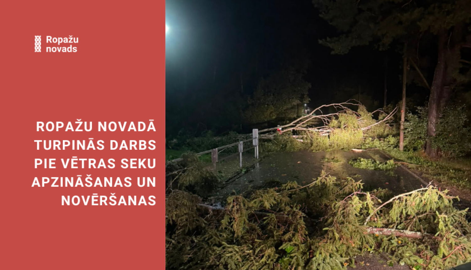 lūzuši koki