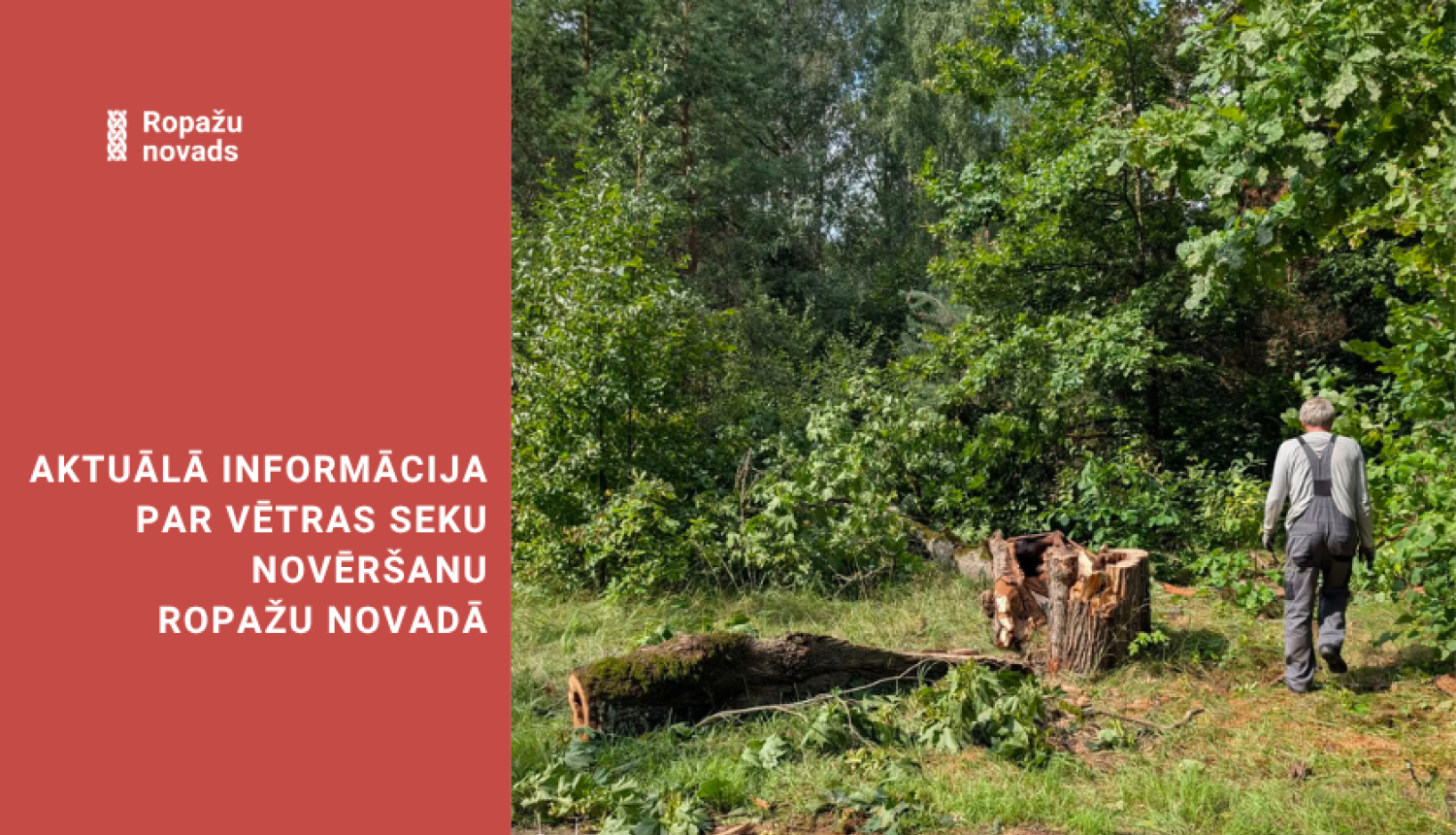 vētras likvidēšana