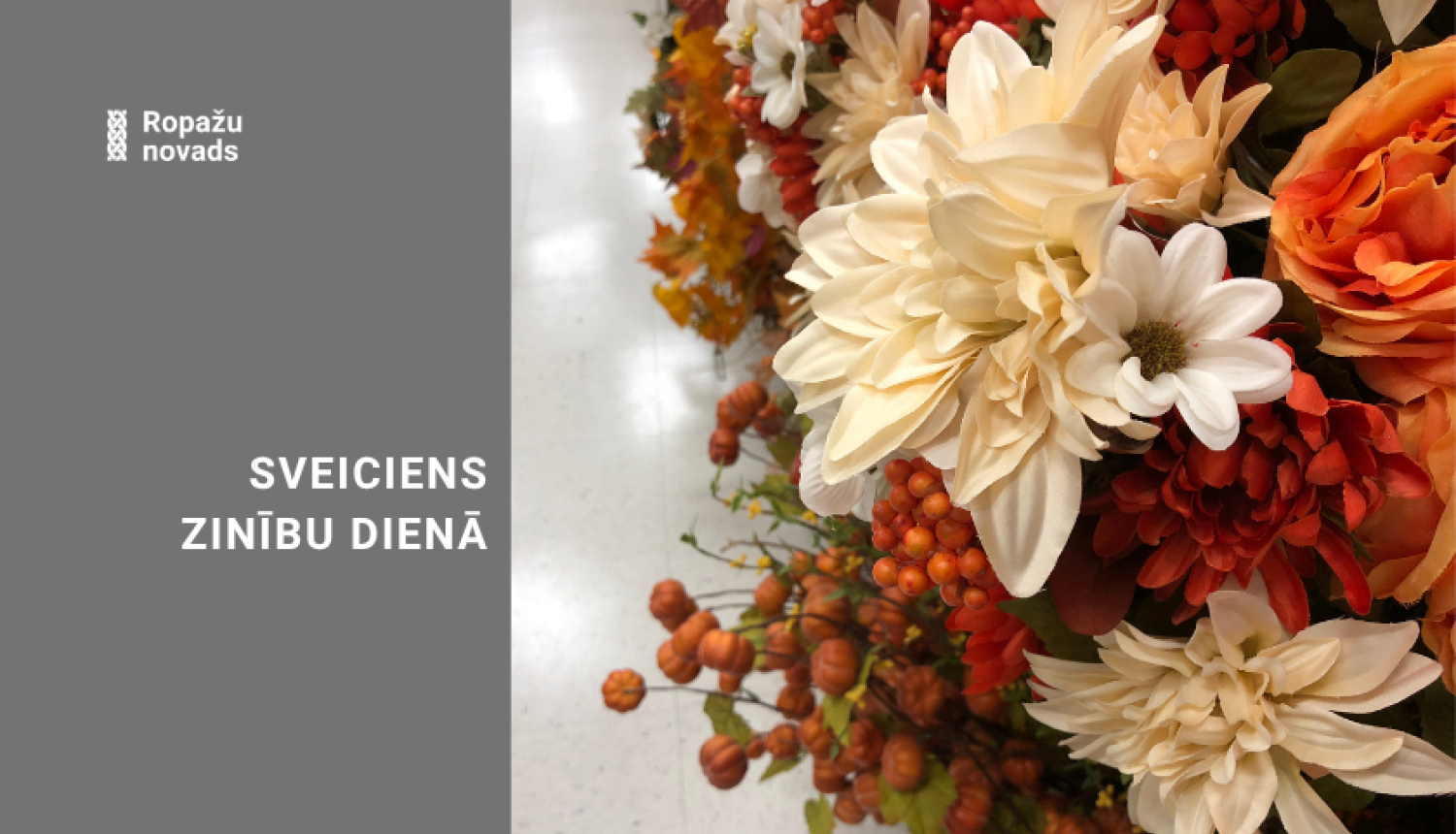sveiciens Zinību dienā, rudens puķes