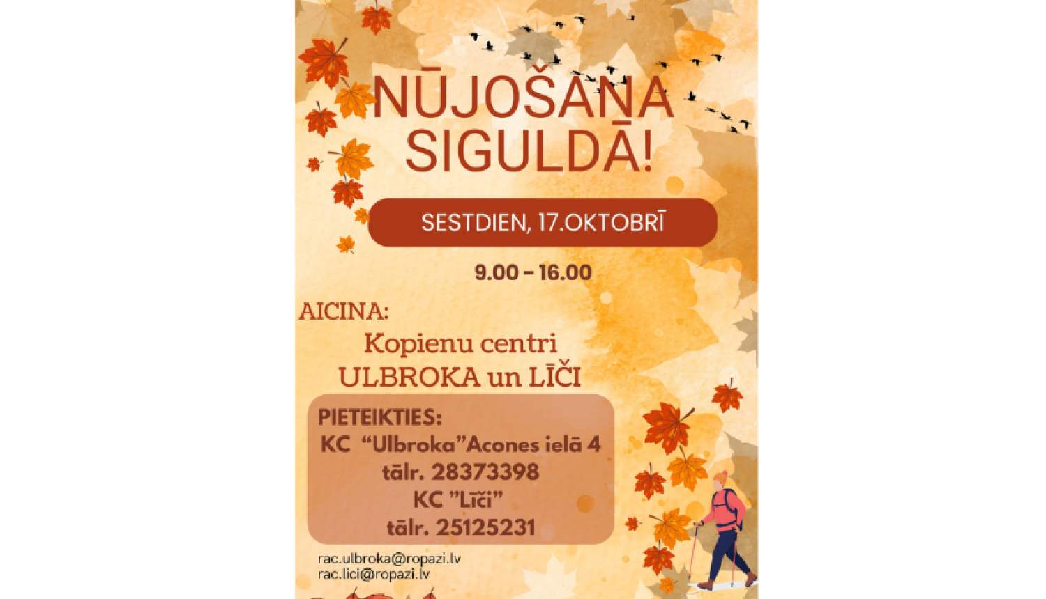 Nūjošanas nodarbība, afiša