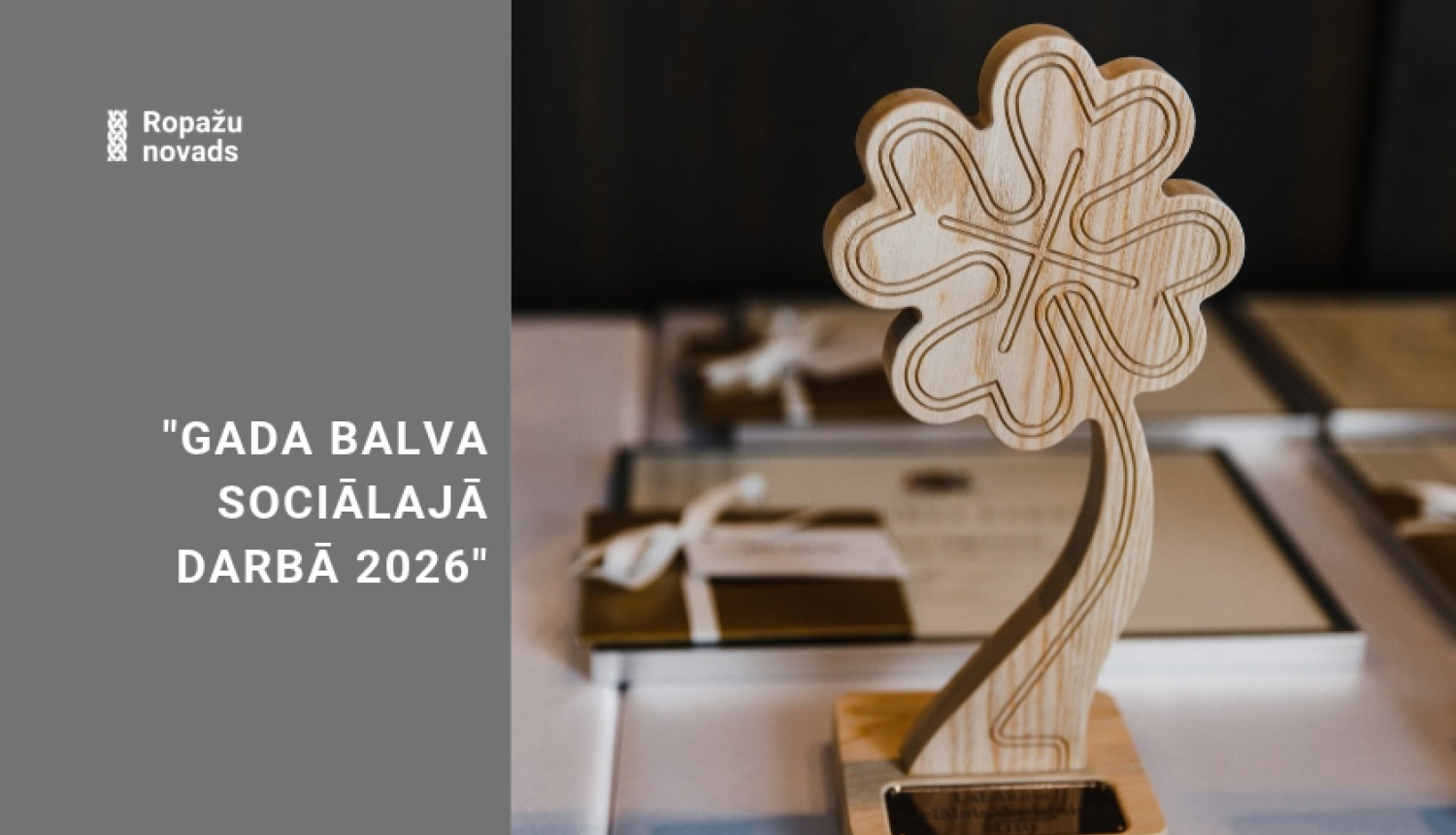 Gada balva Sociālajā jomā