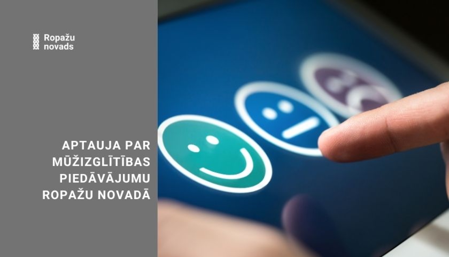 aptauja pa mūžizglītības piedāvājumu, vizuālis