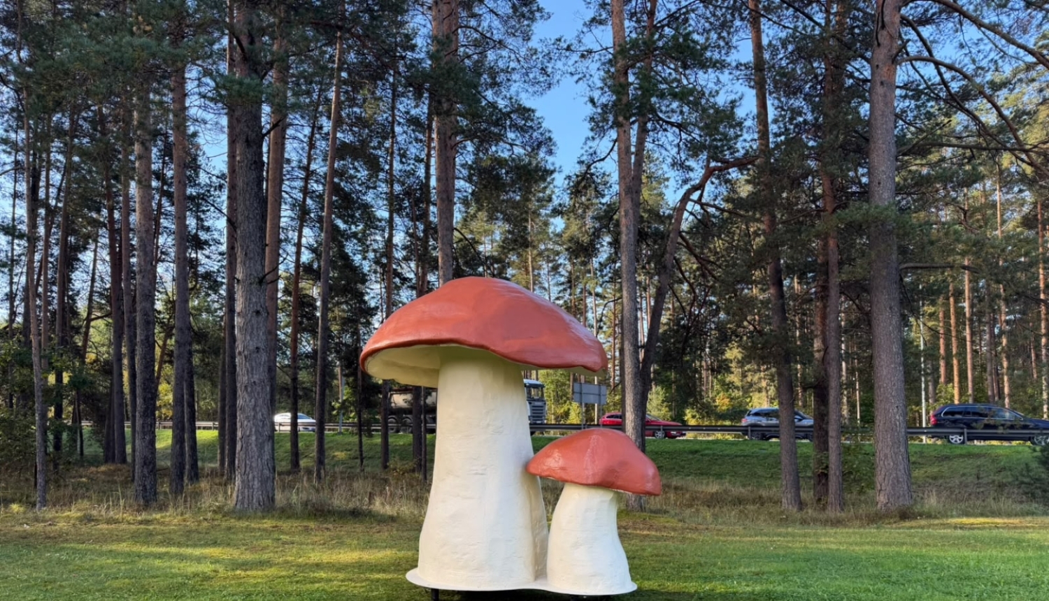 foto