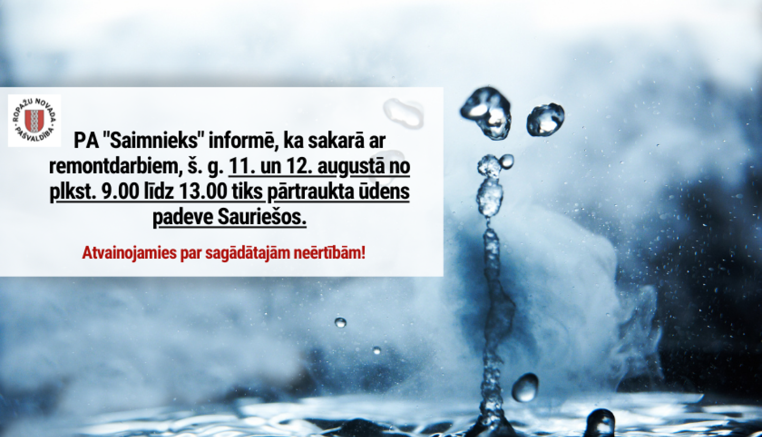 PA_Saimnieks