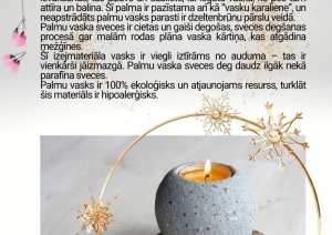 Vangažu pilsētas bibliotēka