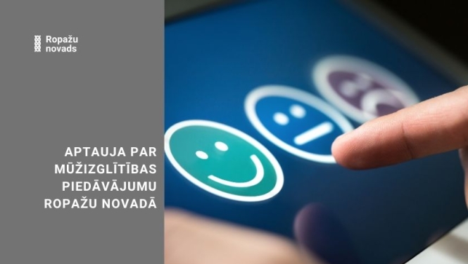 aptauja pa mūžizglītības piedāvājumu, vizuālis