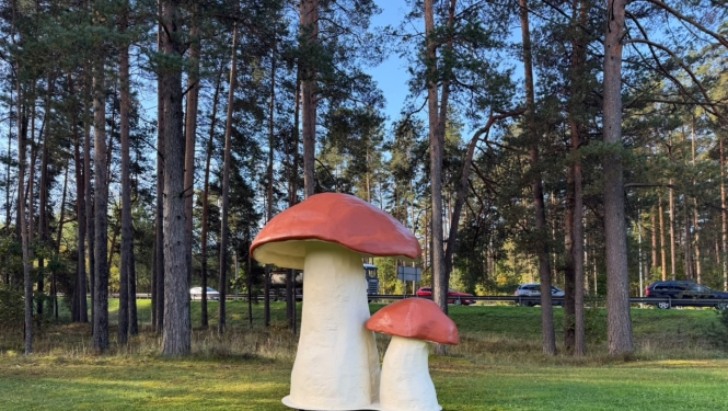 foto