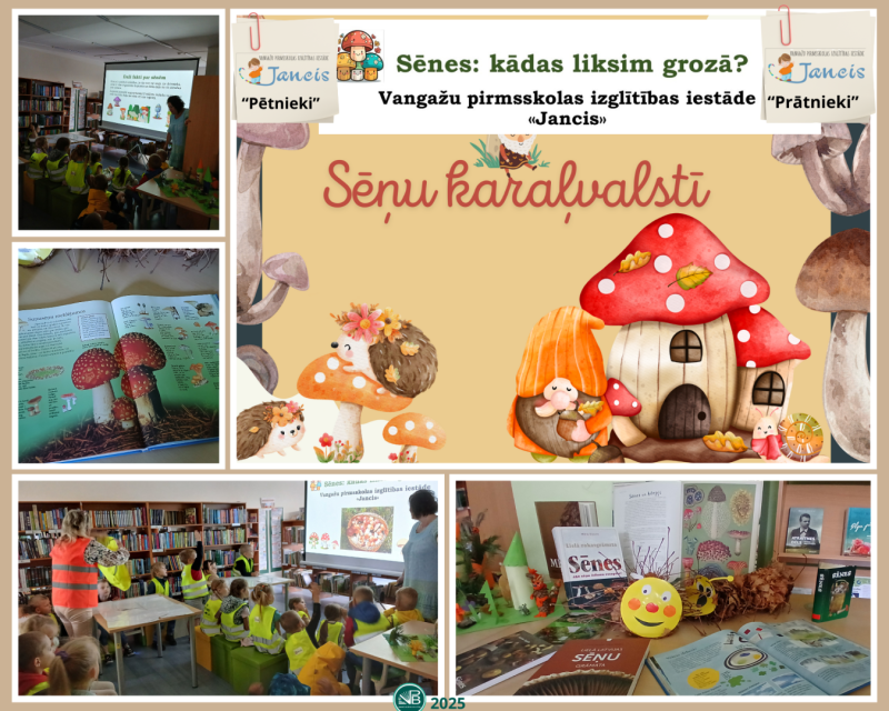 bibliotēkas aktivitātes