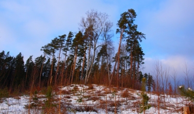 Leduskalni