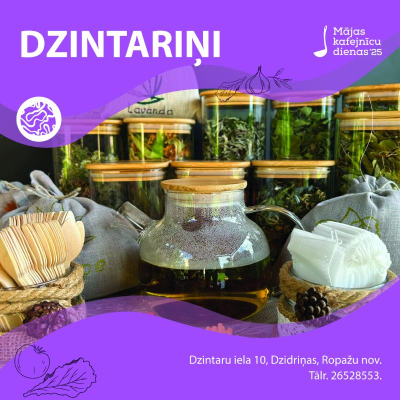 MKD - Dzintariņi
