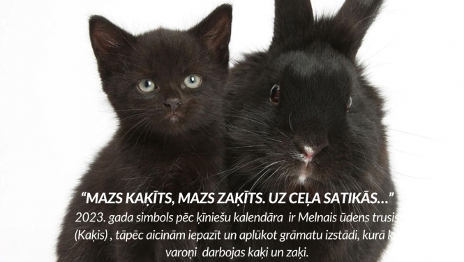 Mazs kaķīts, mazs zaķīts