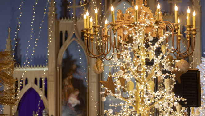 Gaismas dārzs Ropažu baznīcā