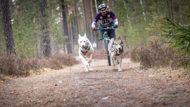 Foto: Egons Ansbergs