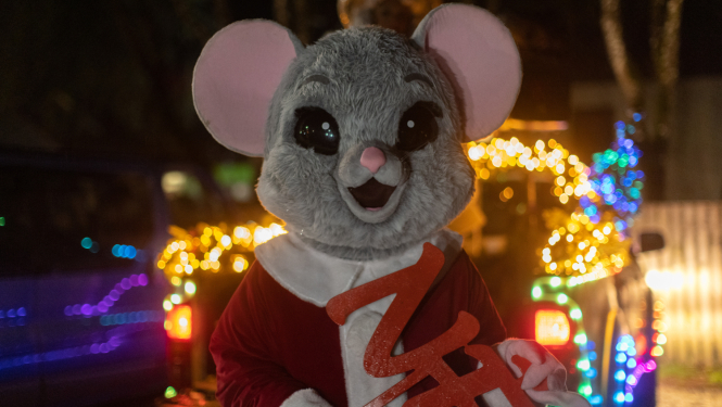 Eglītes iedegšanas pasākums Ropažos