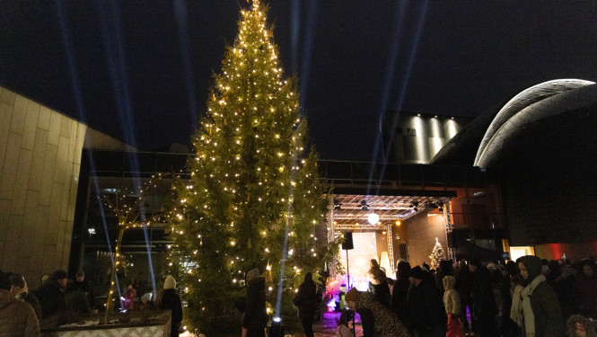 Gaismiņu iedegšana Ulbrokas Lielajā eglē