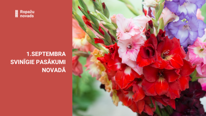 gladiolas