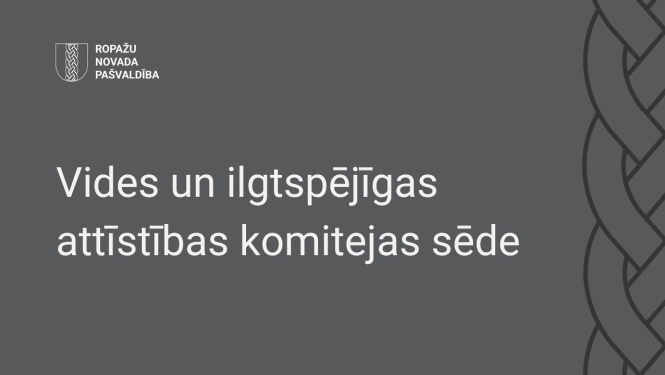 Vides un ilgtspējīgas attīstības komiteja