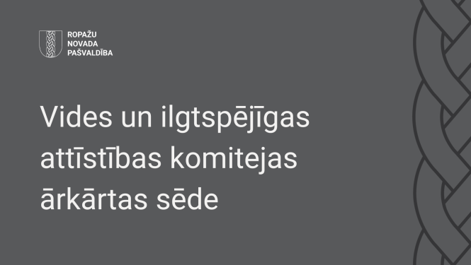 Vides un ilgtspējīgas attīstības komiteja