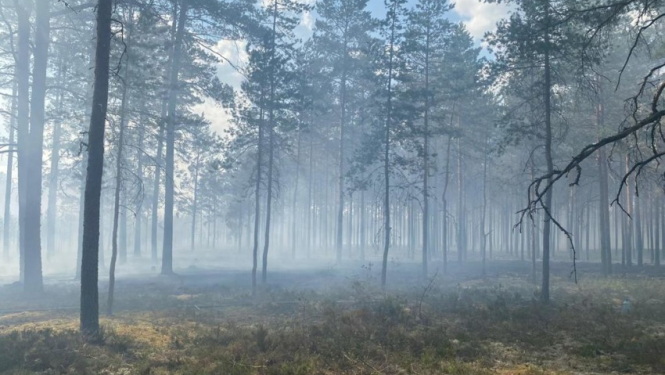 Aicinām iedzīvotājus neuzturēties mežā paaugstinātas ugunsbīstamības laikā