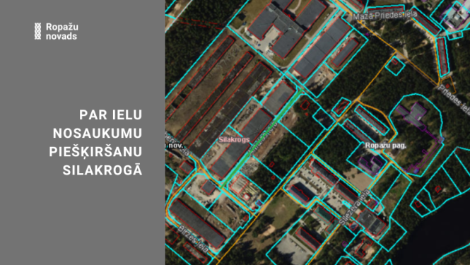 par ielu nosaukumu piešķiršanu Silakrogā