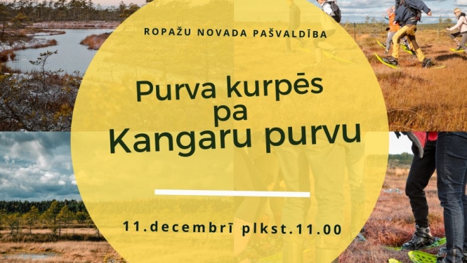 11.decembrī plkst.11.00 sadarbībā ar Purvu bridējiem rīkosim pārgājienu Kangaru purvā