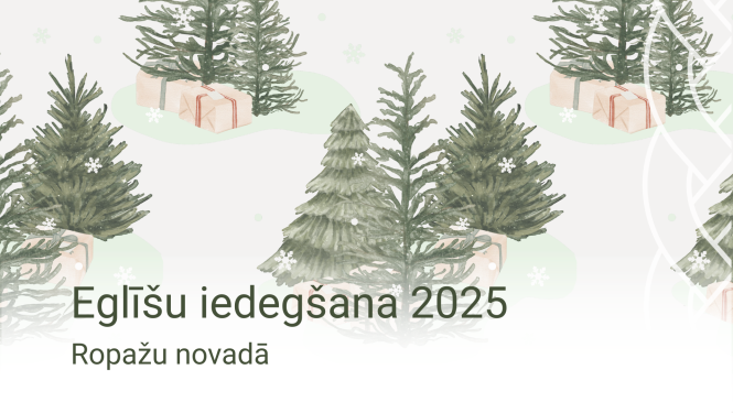 Ziemassvētku eglīšu iemirdzēšanas pasākumi Ropažu  novadā