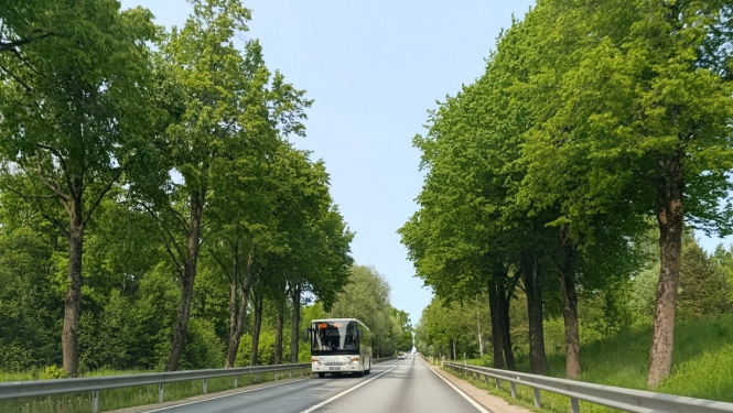autobuss